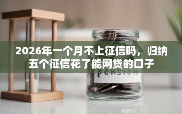 2026年一个月不上征信吗，归纳五个征信花了能网贷的口子