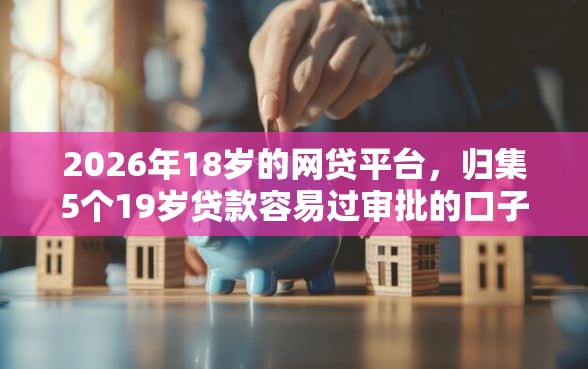 2026年18岁的网贷平台，归集5个19岁贷款容易过审批的口子