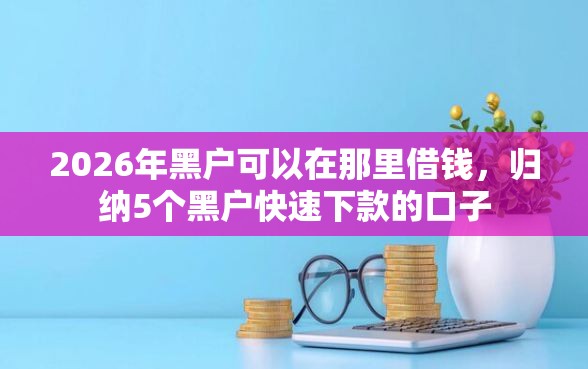 2026年黑户可以在那里借钱，归纳5个黑户快速下款的口子