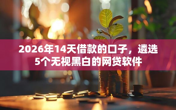 2026年14天借款的口子，遴选5个无视黑白的网贷软件