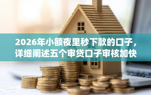 2026年小额夜里秒下款的口子，详细阐述五个审贷口子审核加快的app