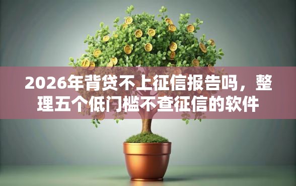 2026年背贷不上征信报告吗，整理五个低门槛不查征信的软件