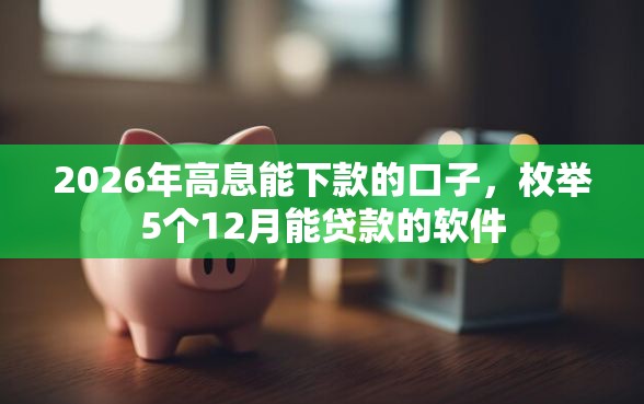 2026年高息能下款的口子，枚举5个12月能贷款的软件
