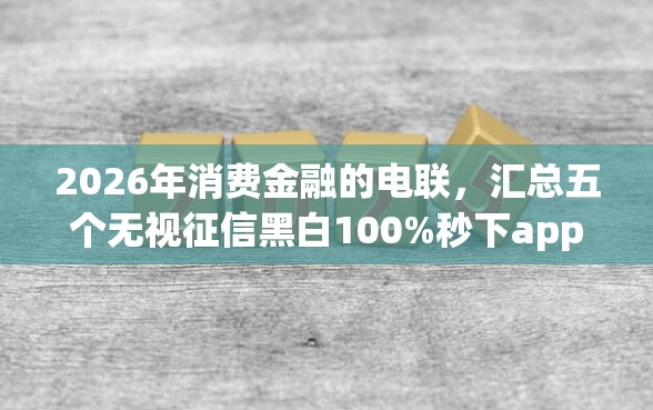 2026年消费金融的电联，汇总五个无视征信黑白100%秒下app