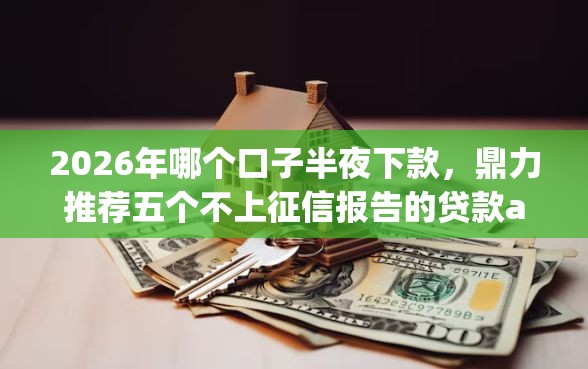2026年哪个口子半夜下款，鼎力推荐五个不上征信报告的贷款app