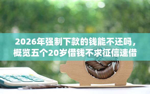 2026年强制下款的钱能不还吗，概览五个20岁借钱不求征信速借app