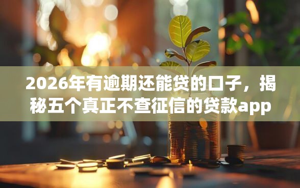 2026年有逾期还能贷的口子，揭秘五个真正不查征信的贷款app