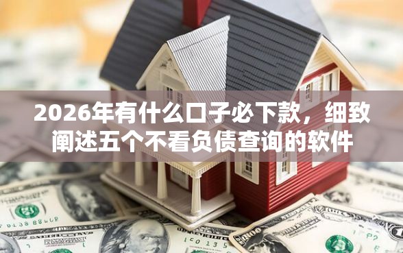 2026年有什么口子必下款，细致阐述五个不看负债查询的软件