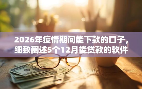2026年疫情期间能下款的口子，细致阐述5个12月能贷款的软件