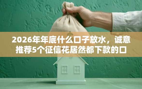 2026年年底什么口子放水，诚意推荐5个征信花居然都下款的口子