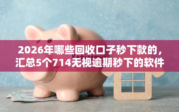 2026年哪些回收口子秒下款的，汇总5个714无视逾期秒下的软件