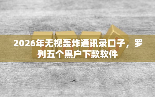 2026年无视轰炸通讯录口子，罗列五个黑户下款软件