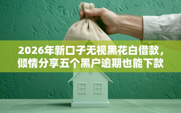 2026年新口子无视黑花白借款，倾情分享五个黑户逾期也能下款的网贷