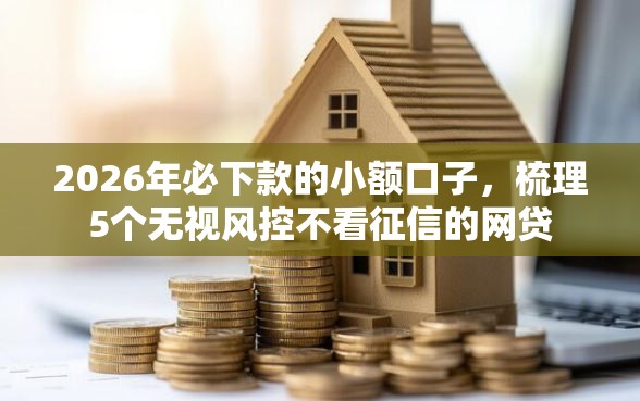 2026年必下款的小额口子，梳理5个无视风控不看征信的网贷