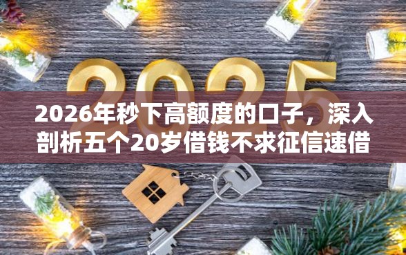 2026年秒下高额度的口子，深入剖析五个20岁借钱不求征信速借软件
