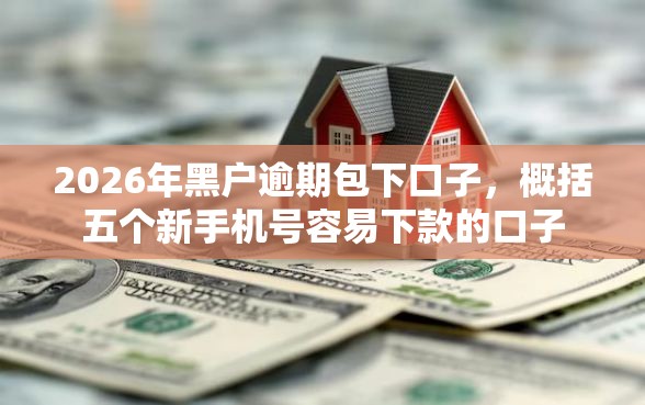 2026年黑户逾期包下口子，概括五个新手机号容易下款的口子