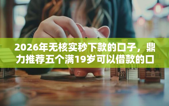 2026年无核实秒下款的口子，鼎力推荐五个满19岁可以借款的口子