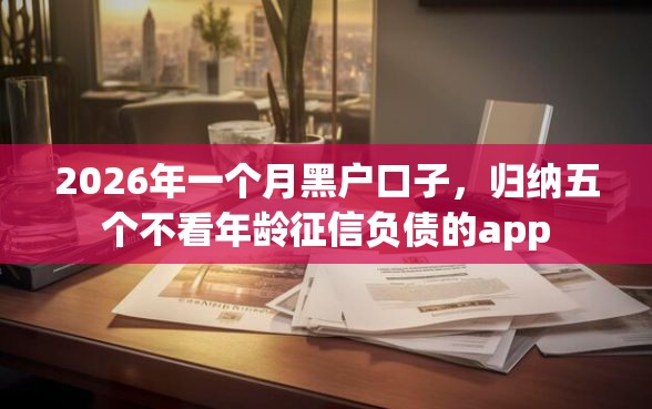 2026年一个月黑户口子，归纳五个不看年龄征信负债的app
