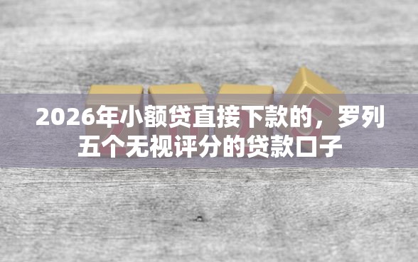 2026年小额贷直接下款的，罗列五个无视评分的贷款口子