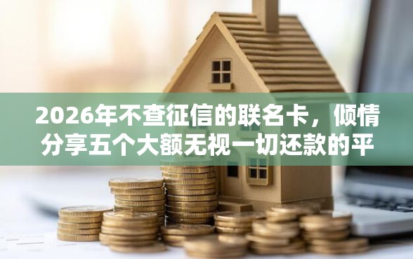 2026年不查征信的联名卡，倾情分享五个大额无视一切还款的平台