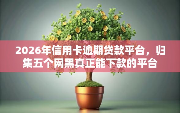 2026年信用卡逾期贷款平台，归集五个网黑真正能下款的平台