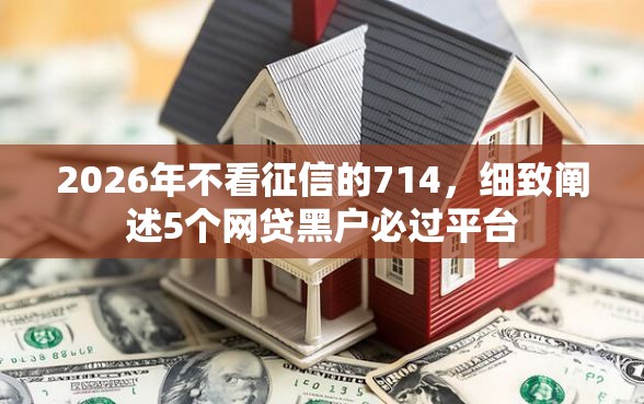 2026年不看征信的714，细致阐述5个网贷黑户必过平台
