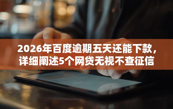 2026年百度逾期五天还能下款，详细阐述5个网贷无视不查征信软件