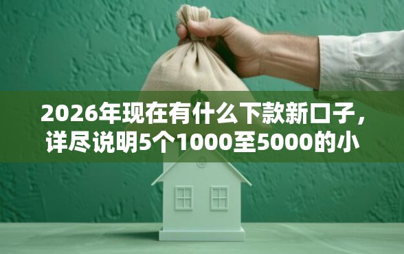 2026年现在有什么下款新口子，详尽说明5个1000至5000的小额贷款口子