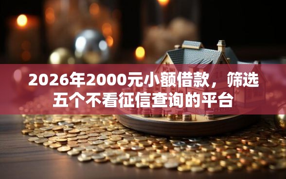 2026年2000元小额借款，筛选五个不看征信查询的平台
