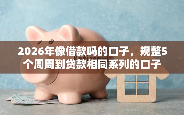 2026年像借款吗的口子，规整5个周周到贷款相同系列的口子