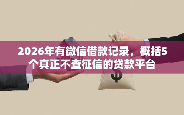 2026年有微信借款记录，概括5个真正不查征信的贷款平台