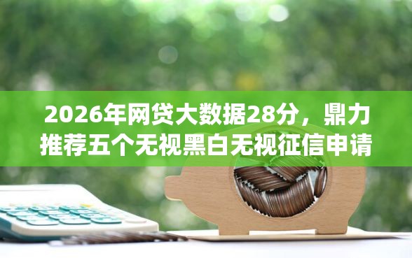 2026年网贷大数据28分，鼎力推荐五个无视黑白无视征信申请就下款的app