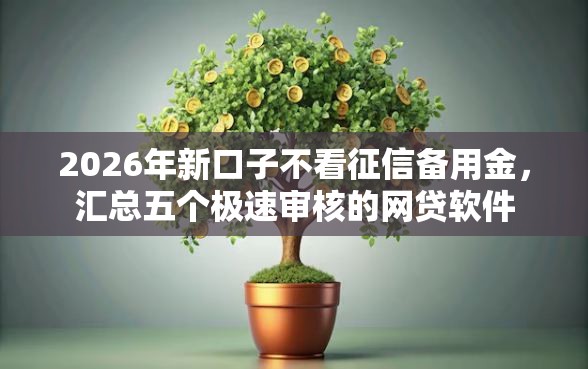 2026年新口子不看征信备用金，汇总五个极速审核的网贷软件