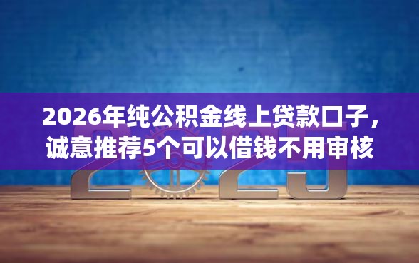 2026年纯公积金线上贷款口子，诚意推荐5个可以借钱不用审核的app