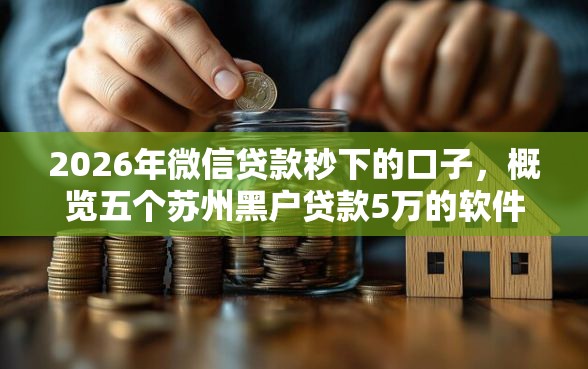 2026年微信贷款秒下的口子，概览五个苏州黑户贷款5万的软件