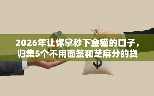 2026年让你拿秒下金猫的口子，归集5个不用面签和芝麻分的贷款平台