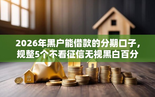 2026年黑户能借款的分期口子，规整5个不看征信无视黑白百分百下款口子
