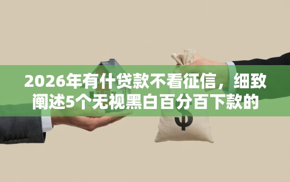 2026年有什贷款不看征信，细致阐述5个无视黑白百分百下款的借款软件