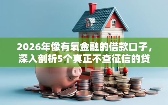 2026年像有氧金融的借款口子,深入剖析5个真正不查征信的贷款平台 2026年像有氧金融的借款口子,深入剖析5个真正不查征信的贷款平台