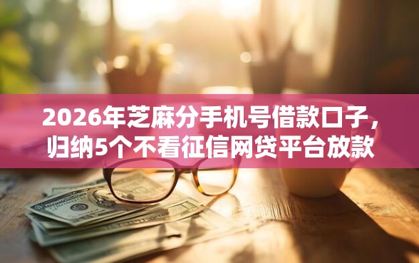 2026年芝麻分手机号借款口子，归纳5个不看征信网贷平台放款快的平台