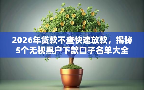 2026年贷款不查快速放款，揭秘5个无视黑户下款口子名单大全