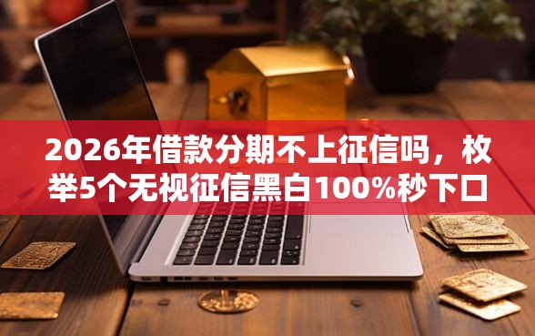 2026年借款分期不上征信吗，枚举5个无视征信黑白100%秒下口子