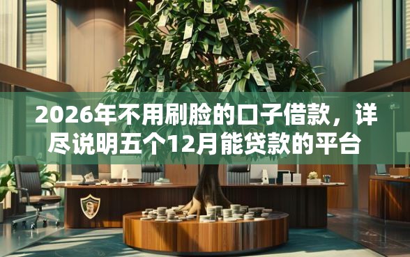 2026年不用刷脸的口子借款，详尽说明五个12月能贷款的平台
