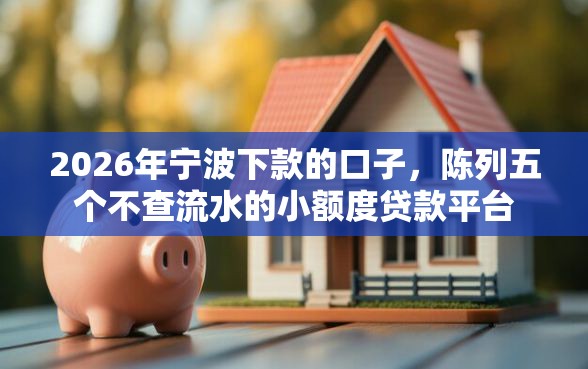 2026年宁波下款的口子，陈列五个不查流水的小额度贷款平台