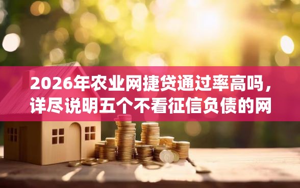 2026年农业网捷贷通过率高吗，详尽说明五个不看征信负债的网贷百分百下款app