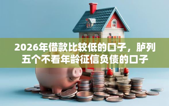 2026年借款比较低的口子，胪列五个不看年龄征信负债的口子