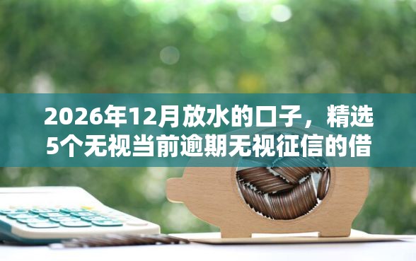 2026年12月放水的口子，精选5个无视当前逾期无视征信的借款口子