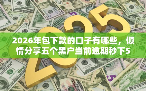 2026年包下款的口子有哪些，倾情分享五个黑户当前逾期秒下5万平台