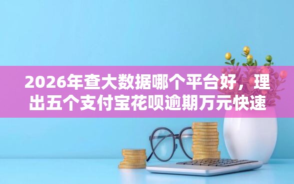 2026年查大数据哪个平台好，理出五个支付宝花呗逾期万元快速贷款口子