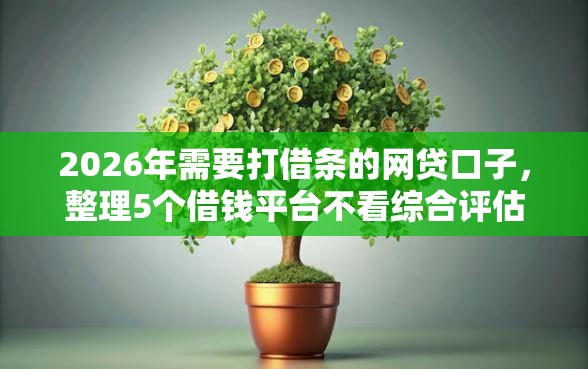 2026年需要打借条的网贷口子，整理5个借钱平台不看综合评估的软件